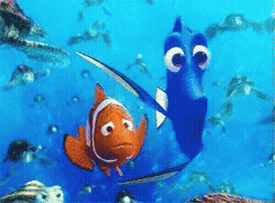 Clown Fish Swimming Beside Blue Fish GIF