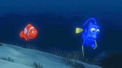 Clown Fish Swimming Next To Blue Fish GIF