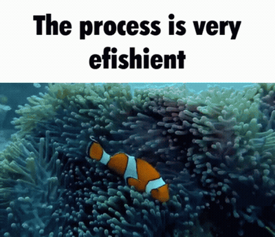 Clown Fish Swimming With Process Is Very Efficient GIF