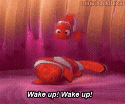 Clown Fish Wake Up Wake Up Pink Background GIF
