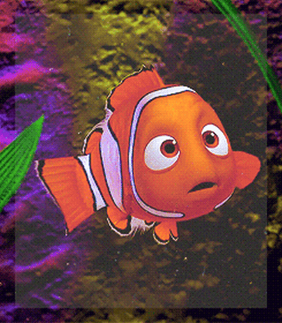 Clown Fish With Big Eyes GIF