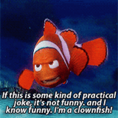 Clown Fish With Practical Joke Caption GIF