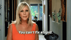Clown Shoes You Can't Fix Stupid GIF