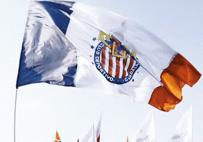 Club Deportivo Flag GIF