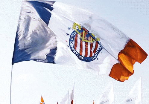 Club Deportivo Flag