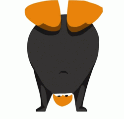 Club Penguin Dance GIF