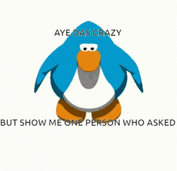 Club Penguin Who Asked GIF
