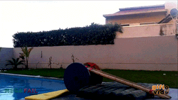 Clueless About Failures GIF