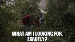 Clueless Ladies Searching In Forest GIF