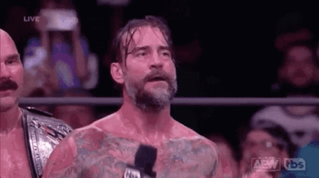 CM Punk The Champ GIF