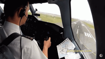 Co-Pilot Is Okay Has Landed GIF