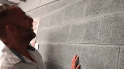 Coach Bangs Head Against Wall Meme GIF