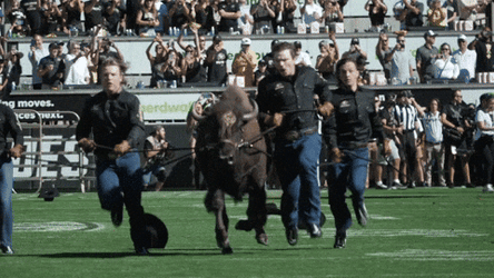 Coach Prime Bull Running GIF
