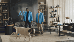 Coach Prime Stop That Goat GIF
