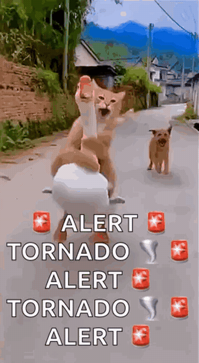 Coal Alert On Dark Background GIF