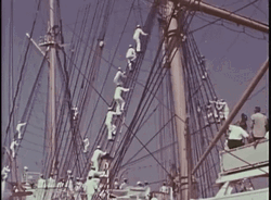 Coast Guard Climbing GIF
