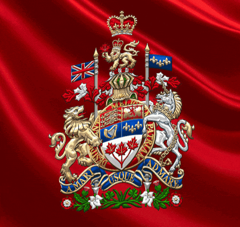 Coat Of Arms With Crown And Lion Saying Mary GIF