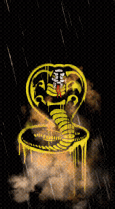 Cobra In The Rain GIF