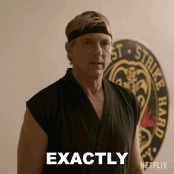 Cobra Kai Johnny Lawrence Exactly GIF