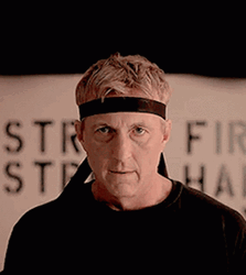 Cobra Kai GIFs | GIFDB.com