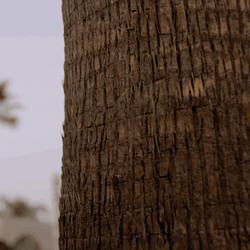 Cobra Kai Learn To Fight Flyer GIF