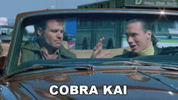 Cobra Kai Never Dies Karate Kid
