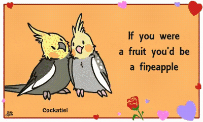 Cockatiel Sitting Next To Another Bird GIF