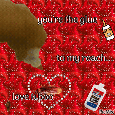 Cockroach And Glue Bottle GIF