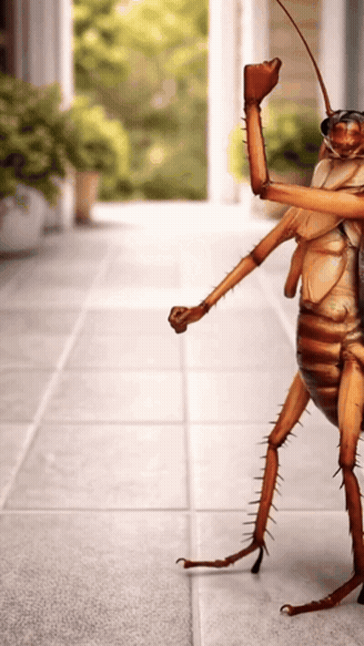 Cockroach Giving Thumbs Up On Tiled Floor GIF