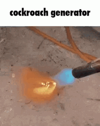 Cockroach Got Torched GIF