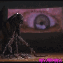 Cockroach Looking At An Eye GIF