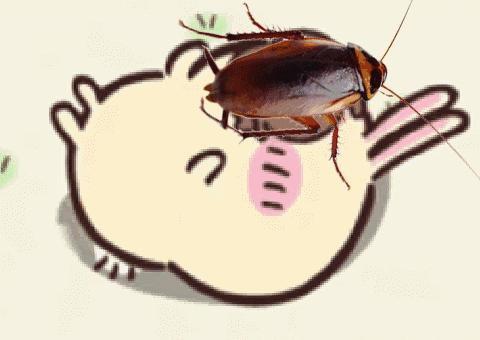 Cockroach On Rabbit Drawing GIF