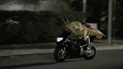 Cockroach Riding A Motorcycle GIF | GIFDB.com