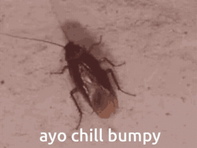 Cockroach Saying Ayo Chill Bumpy GIF