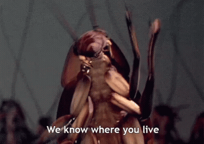 Cockroach Saying We Know Where You Live GIF