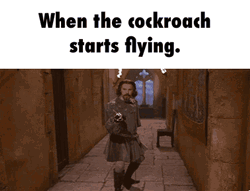 Cockroach Starts Flying Meme GIF