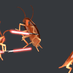 Cockroaches Fighting With Lightsabers GIF