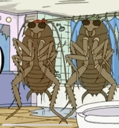 Cockroaches Inside Comfort Room GIF