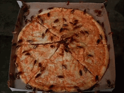Cockroaches On A Pizza GIF