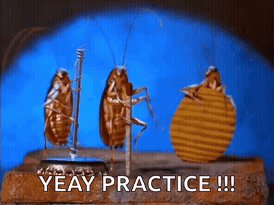 Cockroaches Yeay Practice GIF