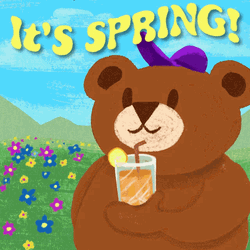 Cocoa Bear It's Spring