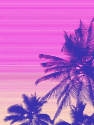 Coconut Tree Amazing View GIF