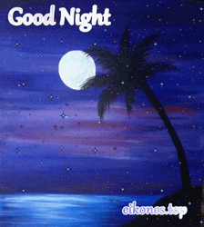 Coconut Tree And The Moon GIF
