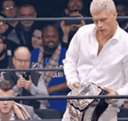 Cody Rhodes WWE Champion Belt Audience GIF