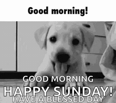 Coffee And Rose Saying Good Morning Happy Sunday GIF