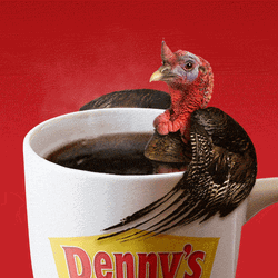 Coffee Bath Turkey Meme GIF