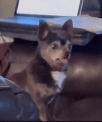 Coffee Cup Hello Hump Day GIF