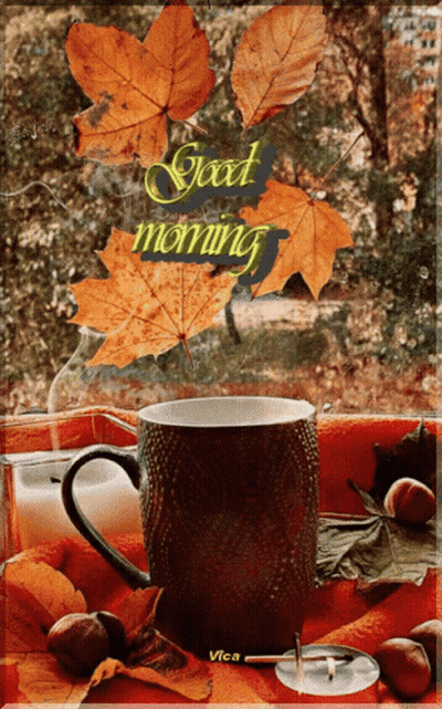Coffee Cup In Front Of Window With Autumn Leaves Good Morning GIF