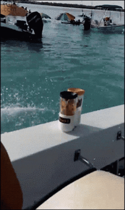 Coffee Cup On Boat In Ocean GIF