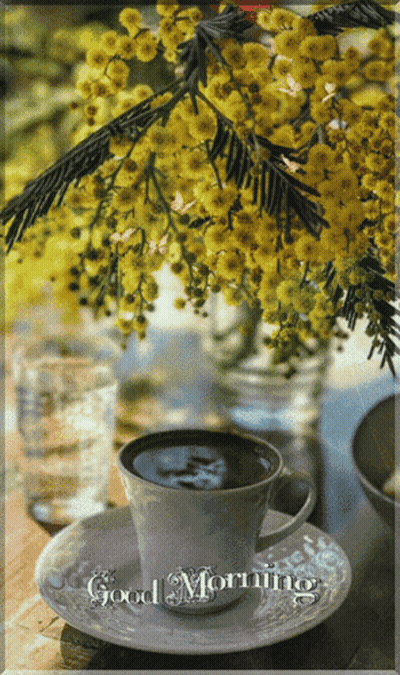 Coffee Cup Saying Good Morning GIF